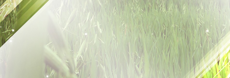 Field of Grass Website Banner