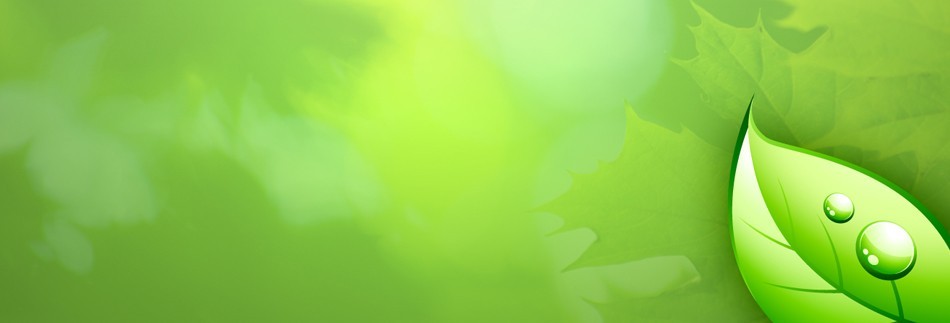 Green Leaf Website Banner