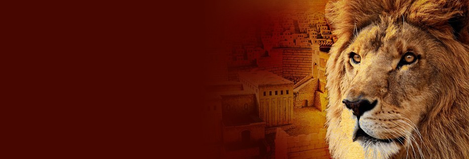 Jerusalem Lion Website Banner