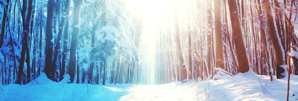 Light of the World Christmas Website Banner