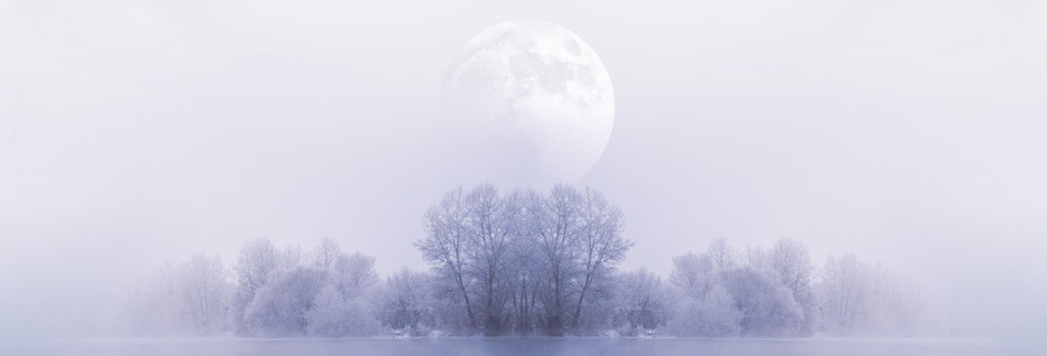 Prince of Peace Christmas Website Banner