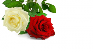 Happy Mother's Day- 2