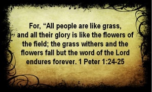 grass