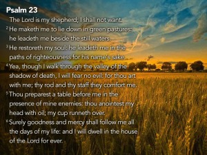 psalm23