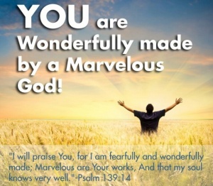 Fearfully and wonderfully made 4
