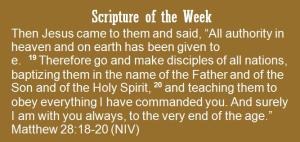 Nov 17 Scripture of the week