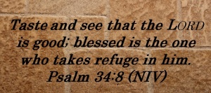 Nov 9 Scripture of the week