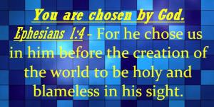 chosen 11112014 A