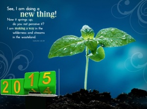 Dec 31 Scripture