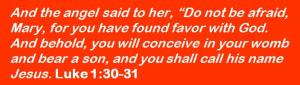 Word of the Week Sunday Dec 14 2014